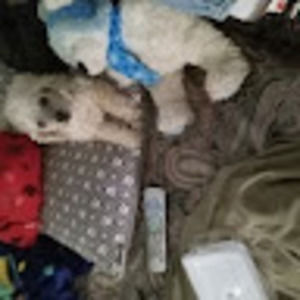 Meet your Posher, Sandra